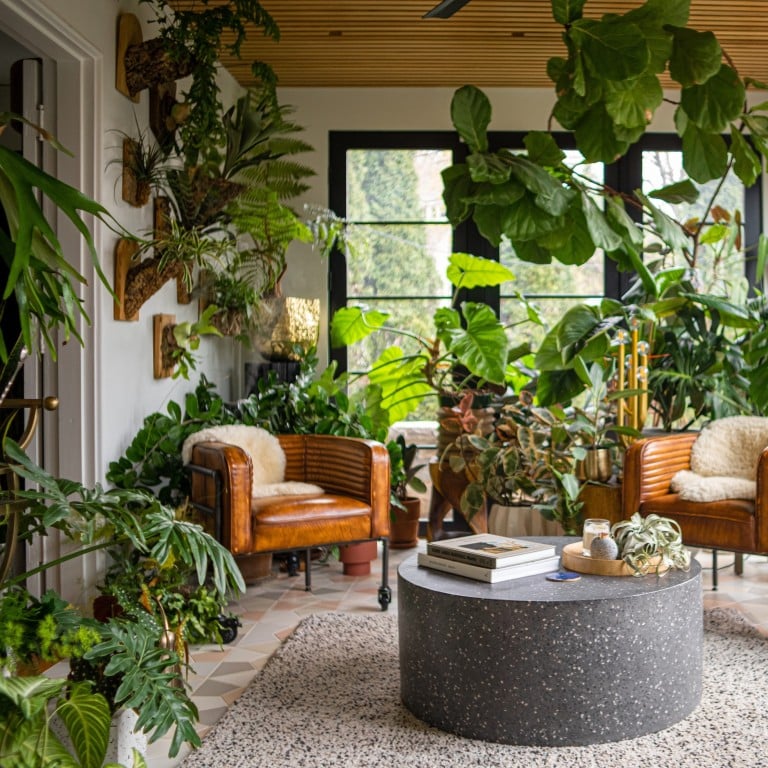 Indoor Plants